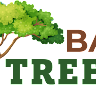 Batemans Bay Tree Removal