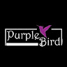 Purple Bird Photo - Australia