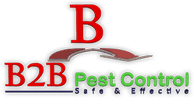 B2B PEST CONTROL