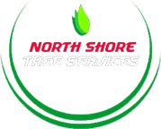 North Shore Tree Services
