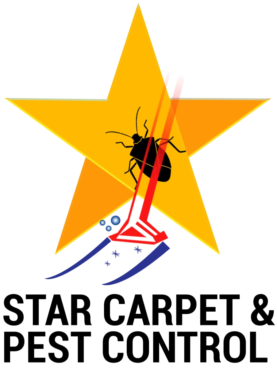 Star Carpet