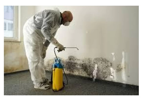 Mould Cleaning Brisbane
