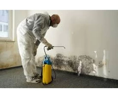 Mould Cleaning Brisbane