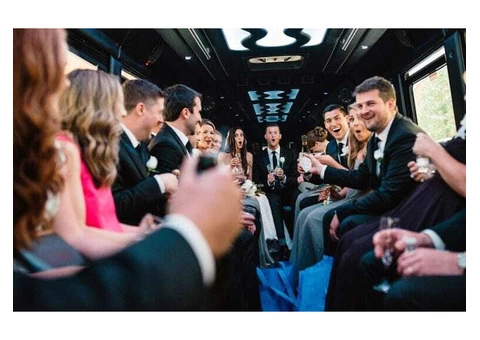 Hire Party Bus in Perth for Your Events - 2/2