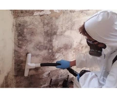 Mould Inspection Brisbane l Mould Cleaners Brisbane