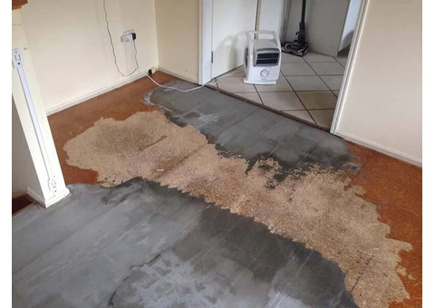 Mould Inspection Brisbane l Mould Cleaners Brisbane - 2/2