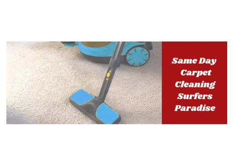 Carpet Cleaning Surfers Paradise - 4/5