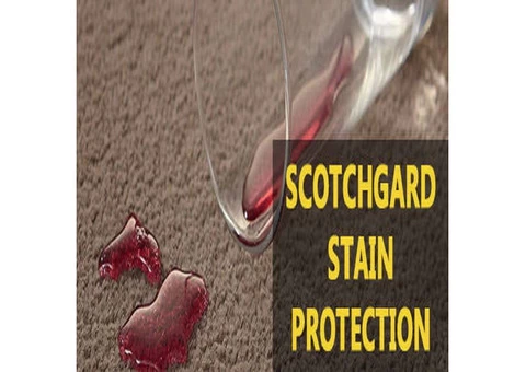 Carpet Cleaning Surfers Paradise - 5/5
