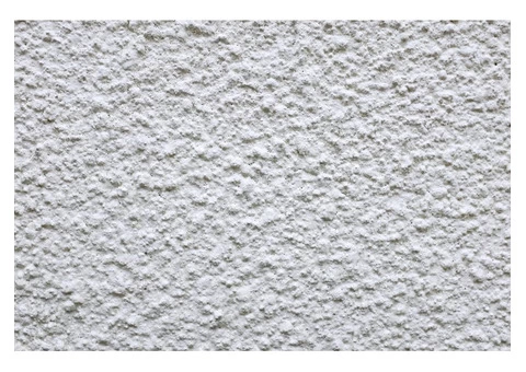 Acrylic and Cement Rendering Service Provider