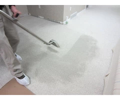 Wet Carpet Drying Point Cook
