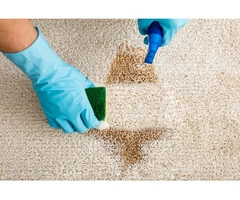 Carpet Stain Removal