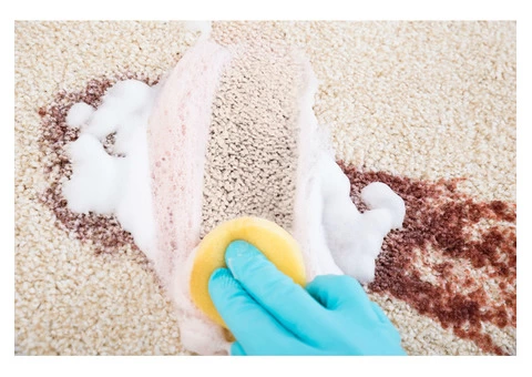 Carpet Stain Removal - 2/2