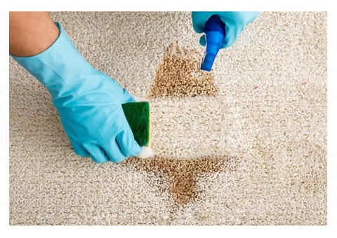 Carpet Stain Removal - 2/2