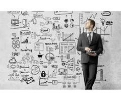 Risk Management System to Protect Your Business Reputation