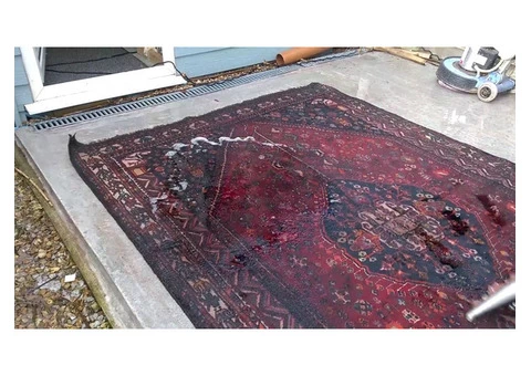 Carpet Water Damage Repair - Flood Damaged Carpet - 1/5