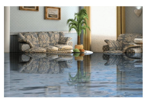 Carpet Water Damage Repair - Flood Damaged Carpet - 2/5