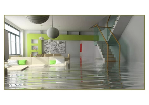 Carpet Water Damage Repair - Flood Damaged Carpet - 5/5