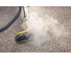 Carpet Cleaning Ringwood