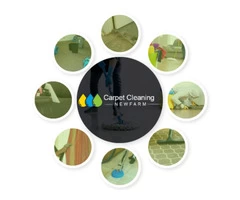 Carpet Cleaning New Farm