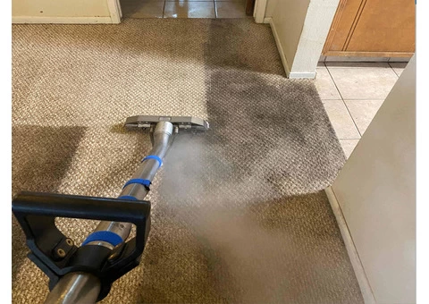 Carpet Cleaning Heidelberg - 4/5