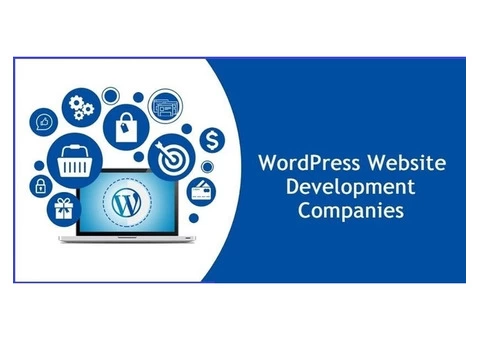 Wordpress Website Development Company - Suria international