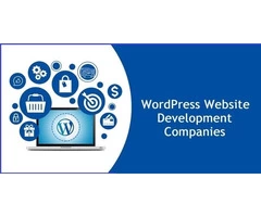 Wordpress Website Development Company - Suria international