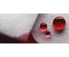 same day carpet scotch guarding