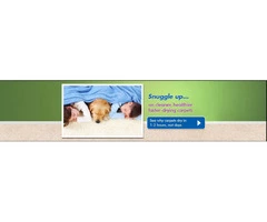 Busselton Carpet Cleaning | 0488 950 833