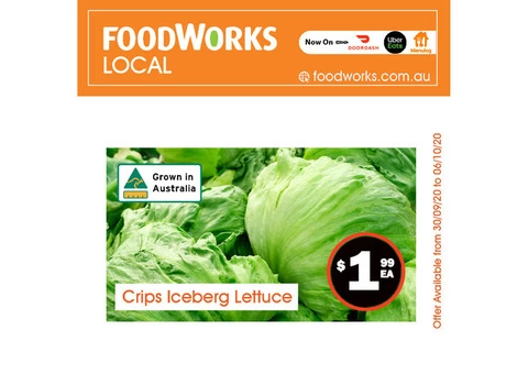 Crips Iceberg Lettuce - Essential Item, FoodWorks Clovelly