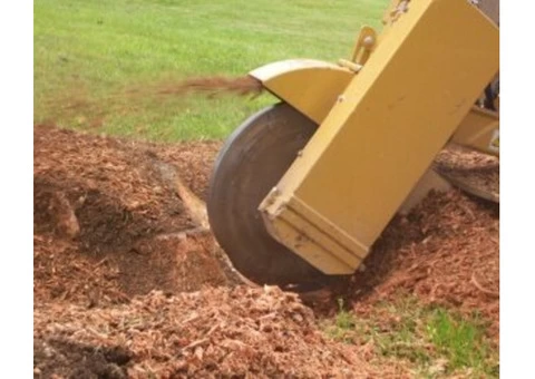 Stump Grinding