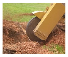 Stump Grinding