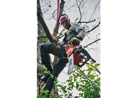Tree Removal Sydney CBD - 2/3