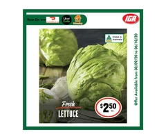 Fresh Lettuce - Grocery Item, IGA Ravenswood
