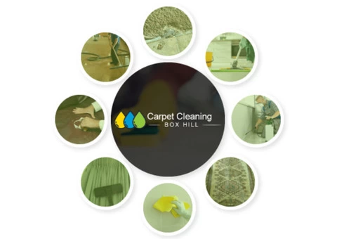 Carpet Cleaning Box Hill
