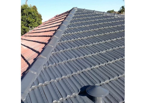 Roof Painting - 3/4