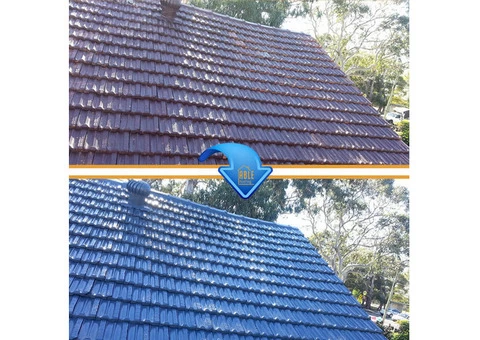 Roof Painting - 4/4