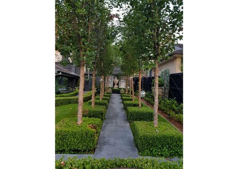 Landscaping North Willoughby - 3/4