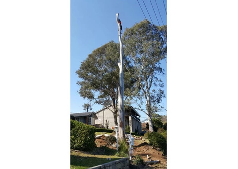 Emergency Tree Removal Kentlyn - 2/3
