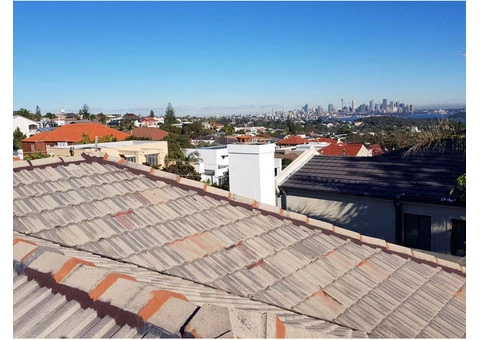 Roof Repair Sydney - 2/3