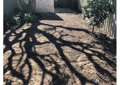 Tree Lopping Services Eastern Suburbs