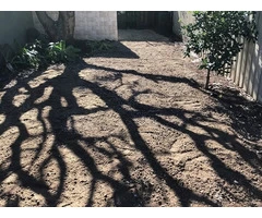 Tree Lopping Services Eastern Suburbs