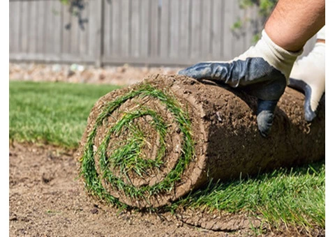 Sydney Gardening Services - 3/3