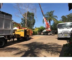 Tree Cutting Parramatta