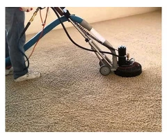 Carpet Cleaning Gisborne