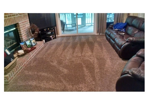 Carpet Cleaning Gisborne - 2/6