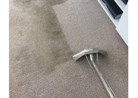 Carpet Cleaning Gisborne - 5/6