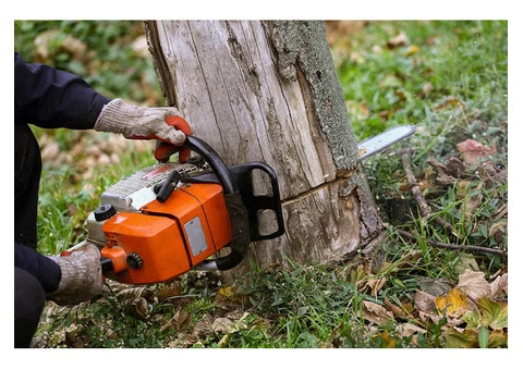 Finest Stump and Root Removal in Burwood - Stump Removal Malvern