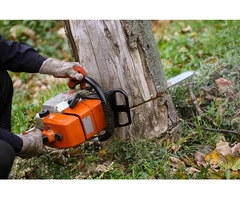 Finest Stump and Root Removal in Burwood - Stump Removal Malvern
