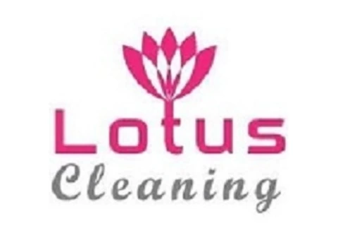 Lotus Couch Steam Cleaning Bayswater