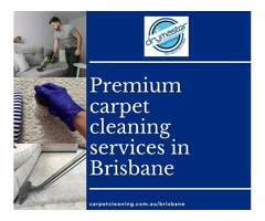Drymaster Carpet Cleaning Brisbane